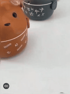 Cute Teddy Cartoon Tiffin Box