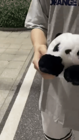 Animal Slap Bracelets Plush Panda for Girls